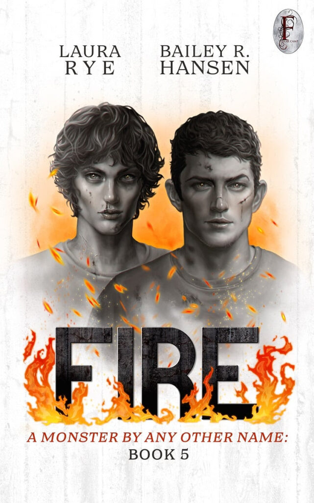 FIRE book cover